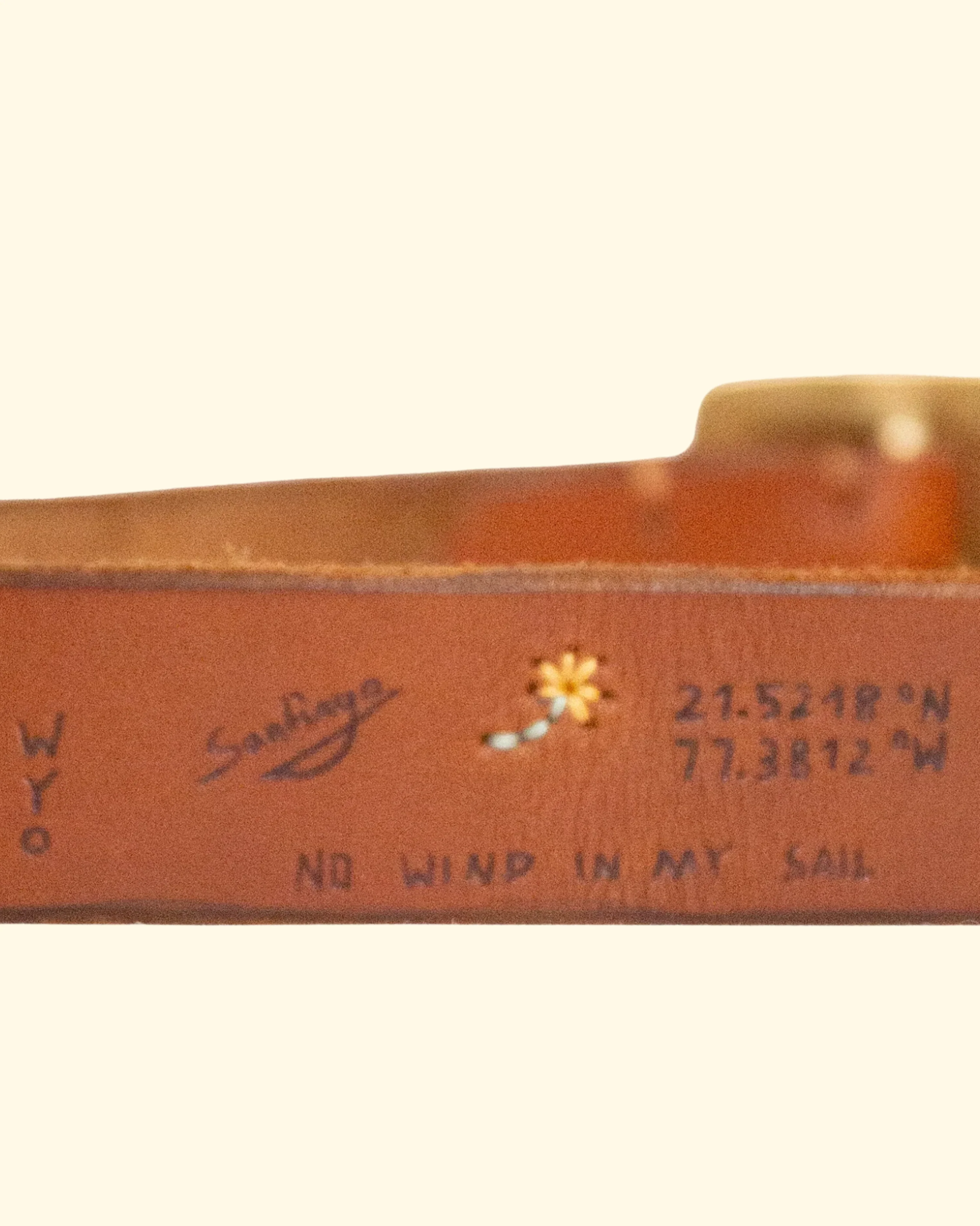 Sun Belt | Leather Brown - Image 4